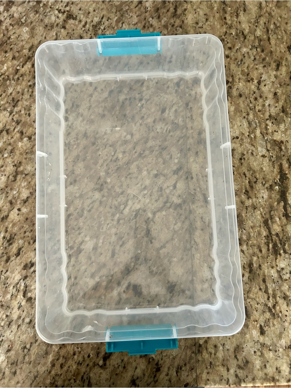 Cupcake Storage/ Carrying Containers - Picture 7 of 7